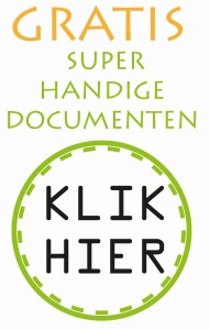 website organiseer en heers widget 1-07